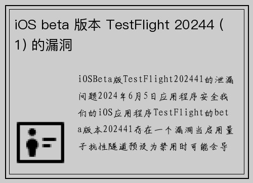 iOS beta 版本 TestFlight 20244 (1) 的漏洞 